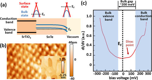 Schematic band diagrams and Scanning tunneling microscopy of the SnTe surface in vacuum and the SnTe/SrTiO3 surface
